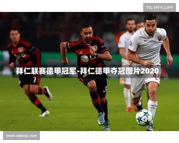 德甲联赛精彩纷呈各大球队深度解析与历史荣光回顾